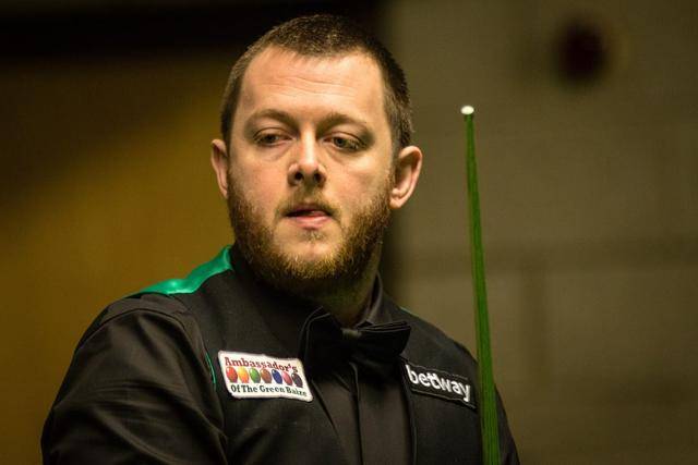 反映出他们 反映出他们