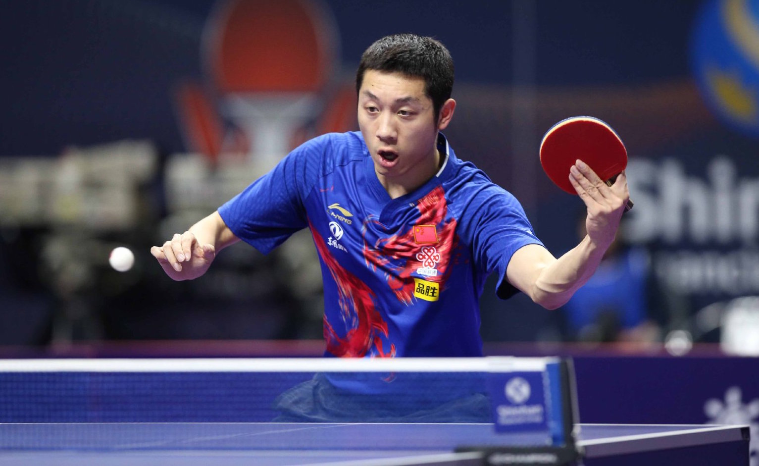 也许能在新 也许能在新